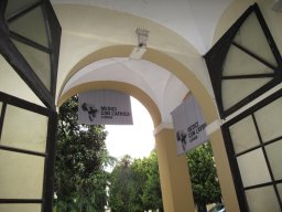 Bonino-Padova-12