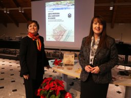 Carruggio-Loano-Natale-04